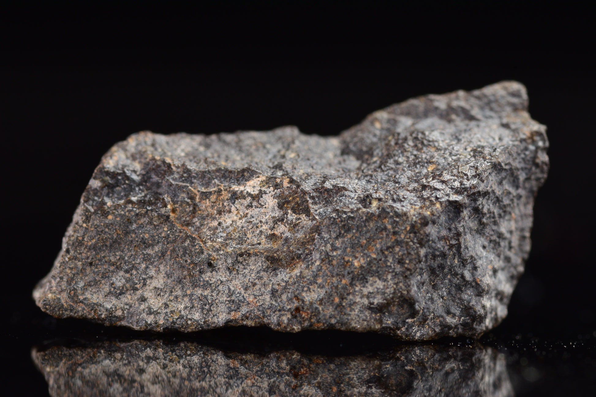 NWA 17489 (CO3.0) Carbonaceous Chondrite Meteorite&nbsp;