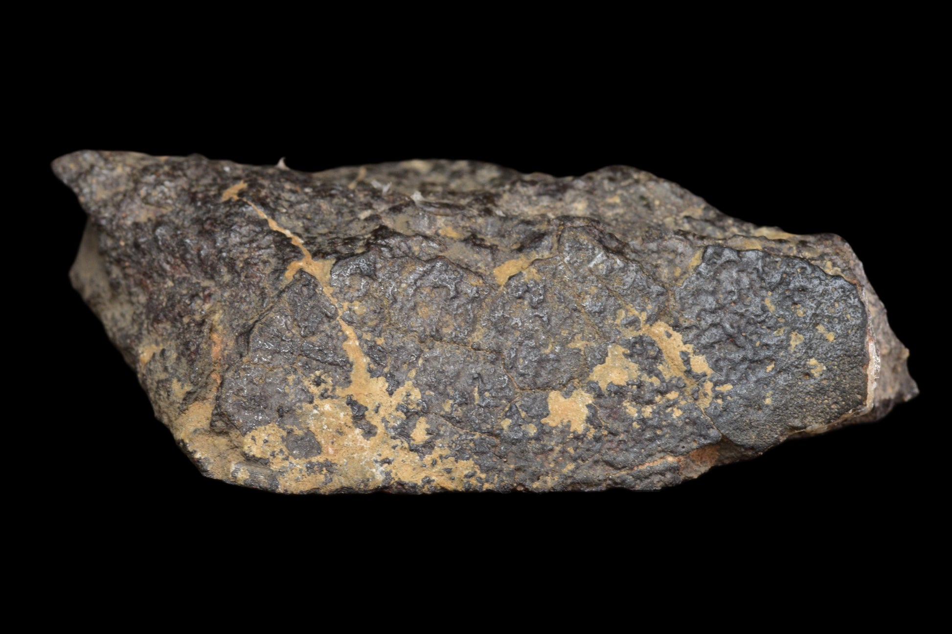 NWA 17489 CO3.0 rare 16 g