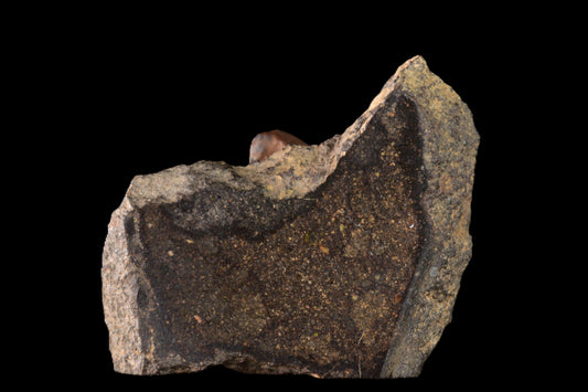 NWA 17489 CO3.0 rare 4.87 g