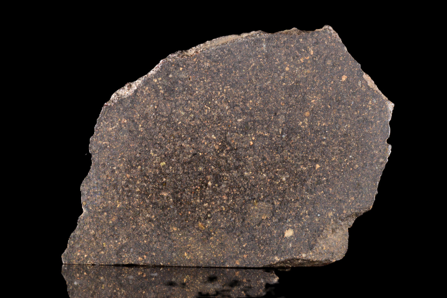 NWA 17489 CO3.0 rare 5.38 g