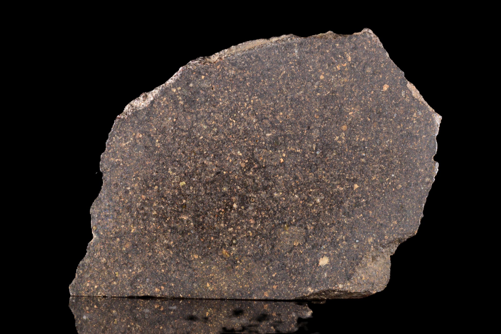 NWA 17489 CO3.0 rare 5.38 g