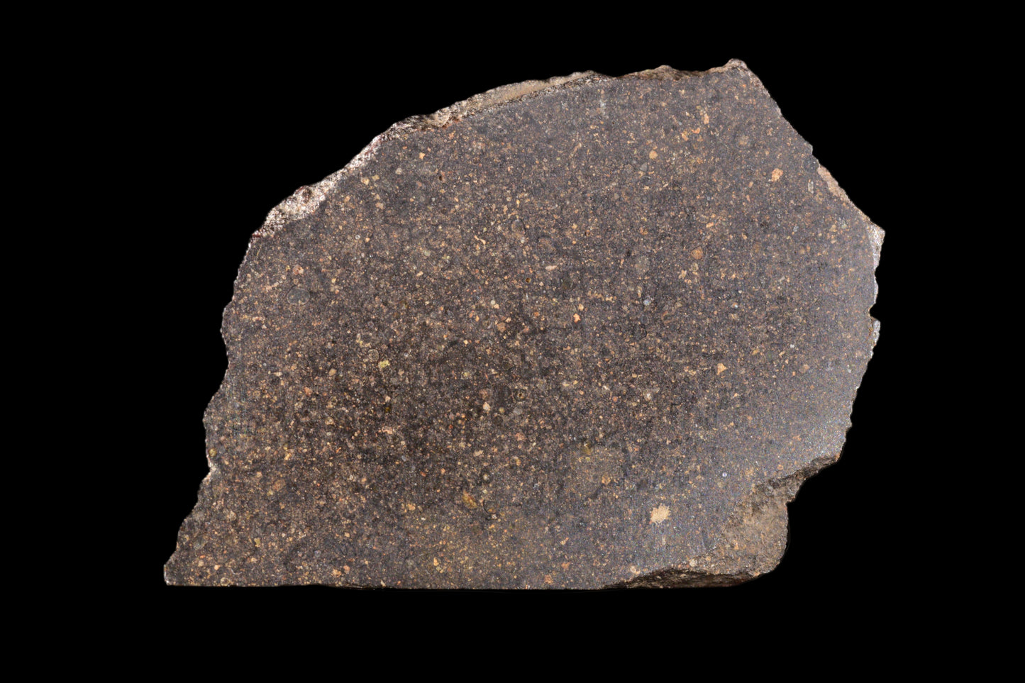 NWA 17489 CO3.0 rare 5.38 g