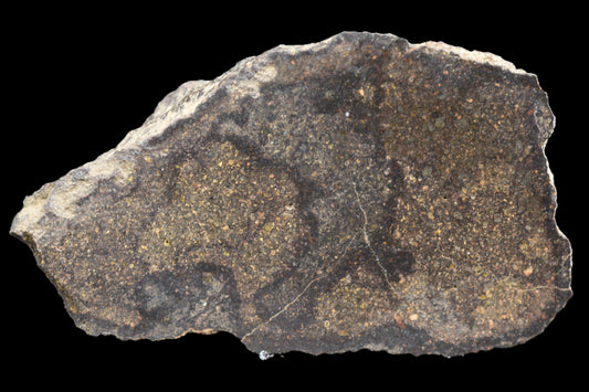 NWA 17489 CO3.0 rare 7.9 g