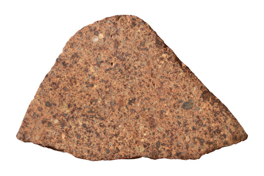NWA 17490 LL4 chondrite meteorite slice 195g held in hand showing chondrule-rich surface – buy meteorite