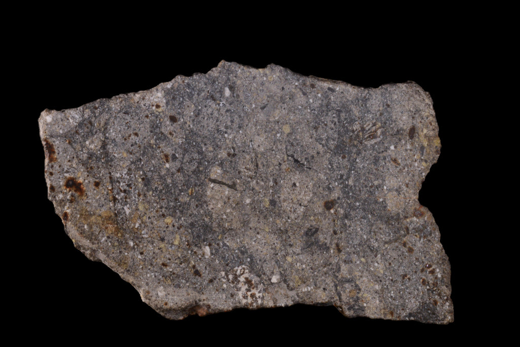 NWA 17491 Polymict Eucrite 55.67 G