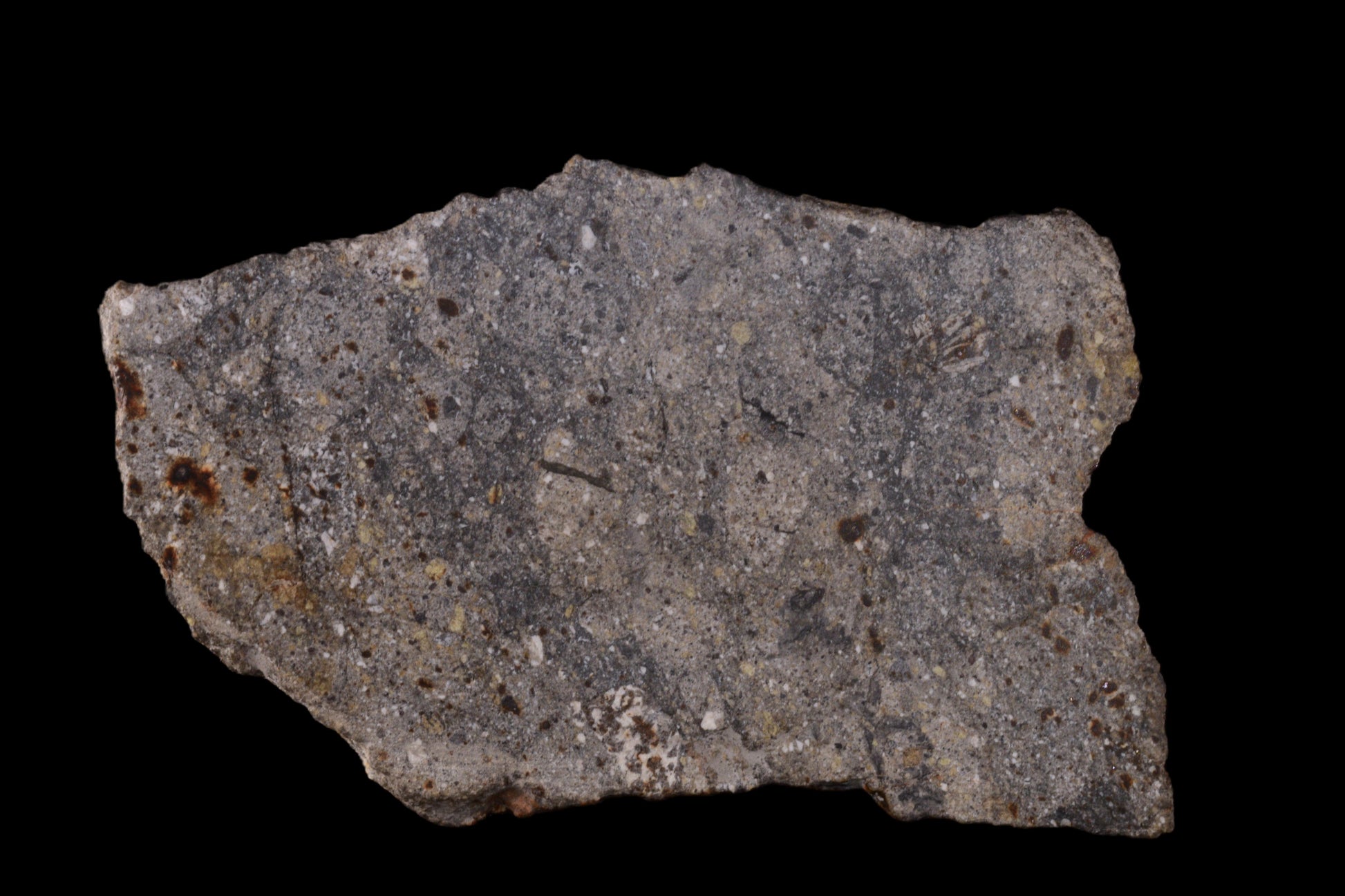 NWA 17491 Polymict Eucrite 55.67 G