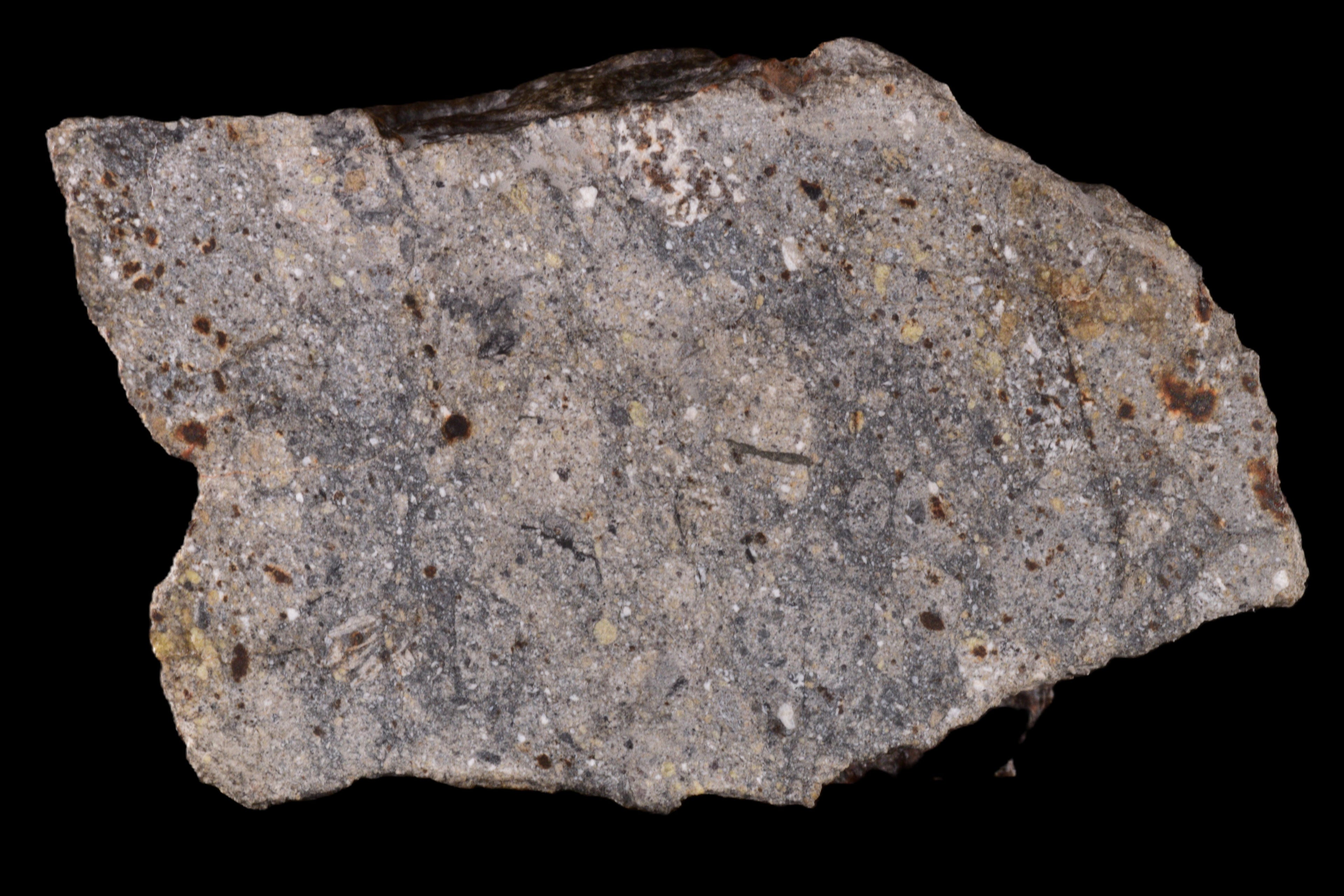 NWA 17491 Polymict Eucrite 55.67 G