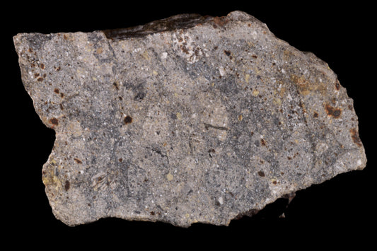 NWA 17491 Polymict Eucrite 55.67 G