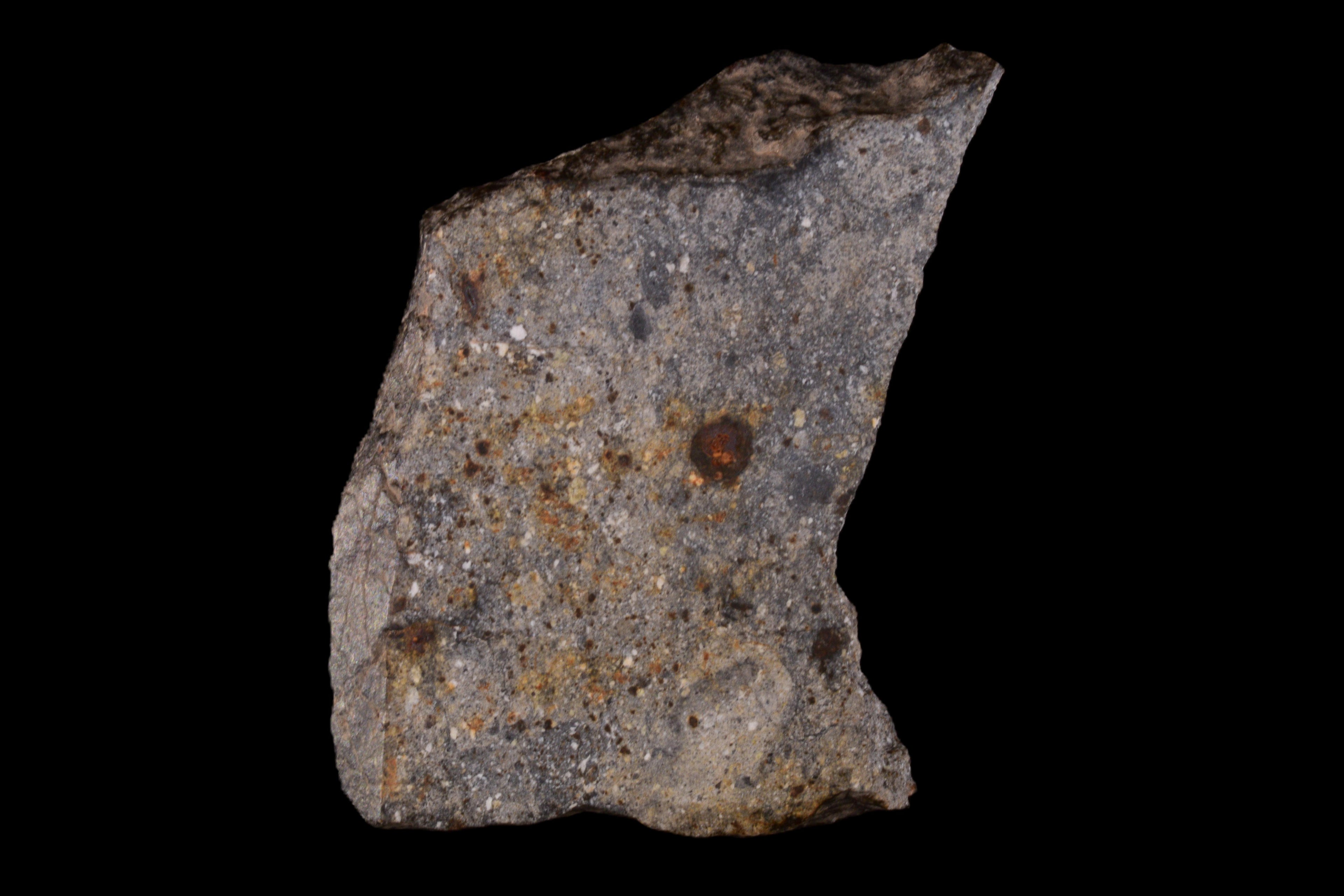 NWA 17491 Polymict Eucrite Meteorite Slice  23.12 G