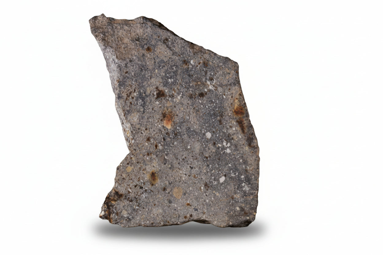 NWA 17491 Polymict Eucrite Meteorite Slice