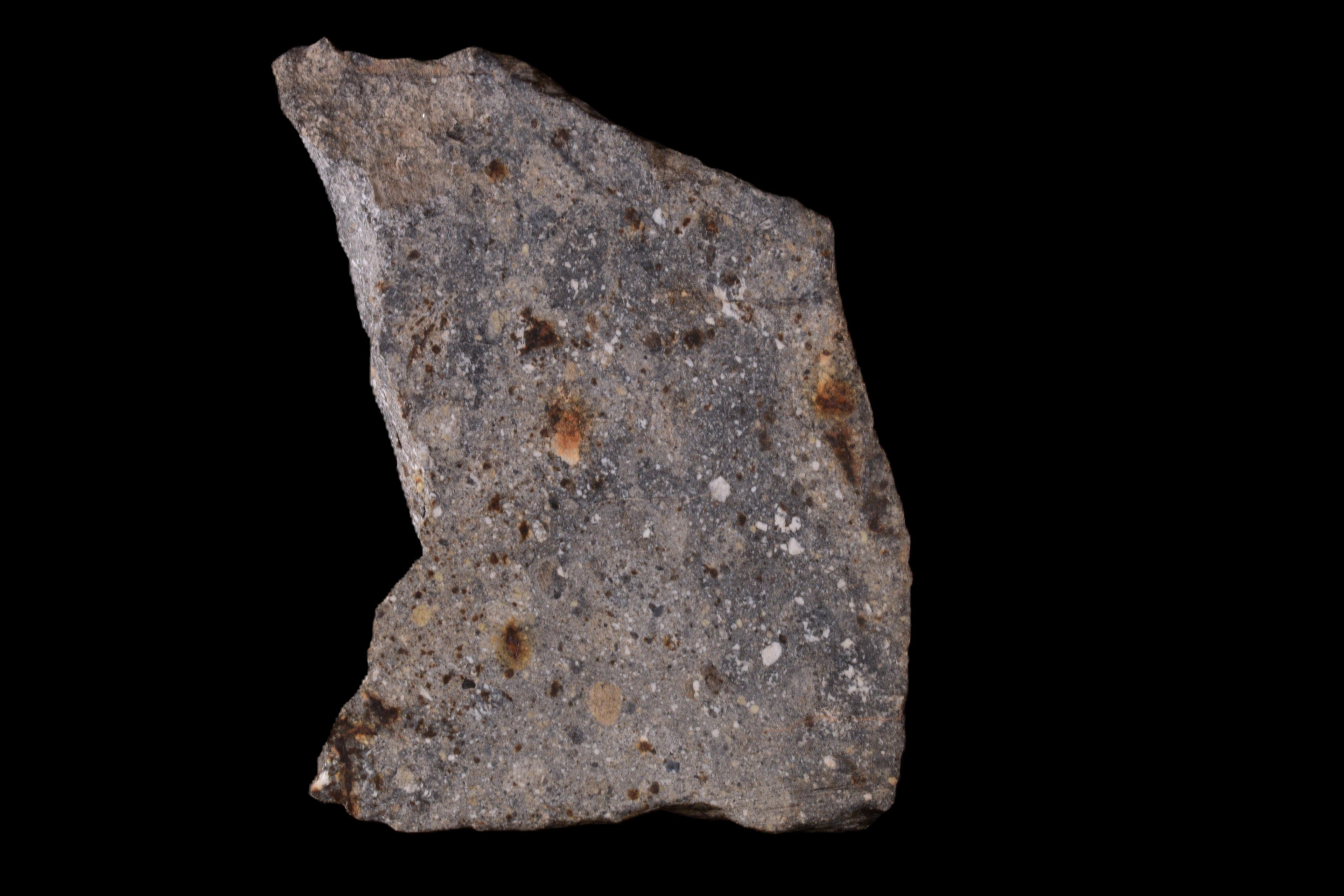 NWA 17491 Polymict Eucrite Meteorite Slice