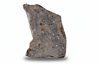 NWA 17491 Polymict Eucrite Meteorite Slice