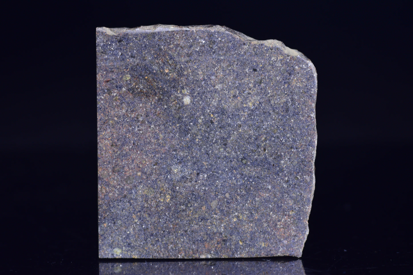 NWA 17492 H5 Ordinary Chondrite Meteorite 13