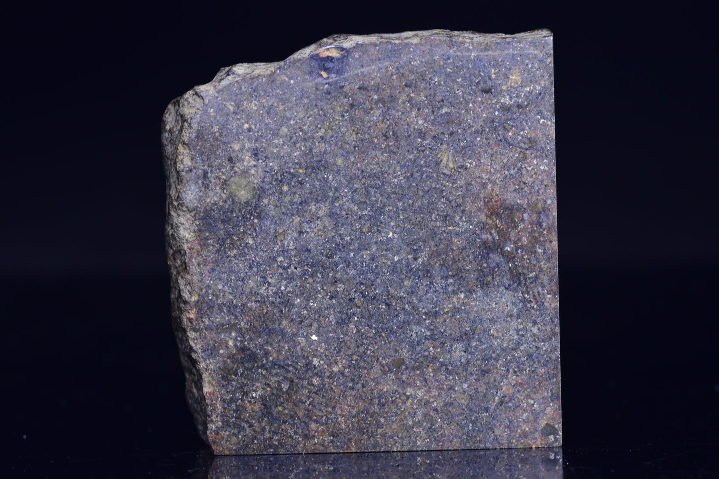 NWA 17492 H5 Ordinary Chondrite Meteorite 16