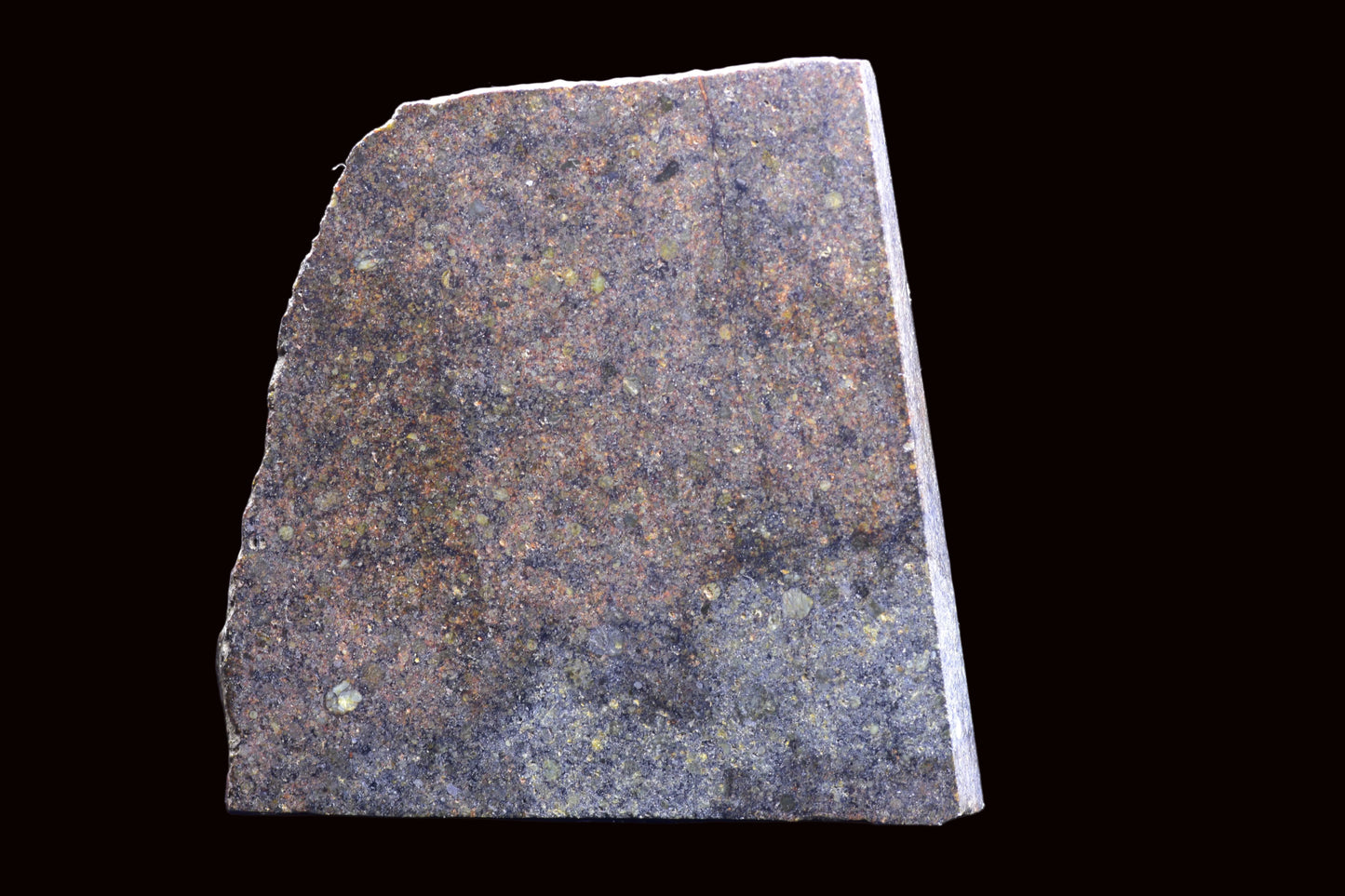 NWA 17492 &nbsp;H5 Ordinary Chondrite Meteorite