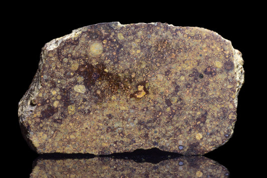 NWA 17493 L3 Main Mass Ordinary Chondrite Meteorite
