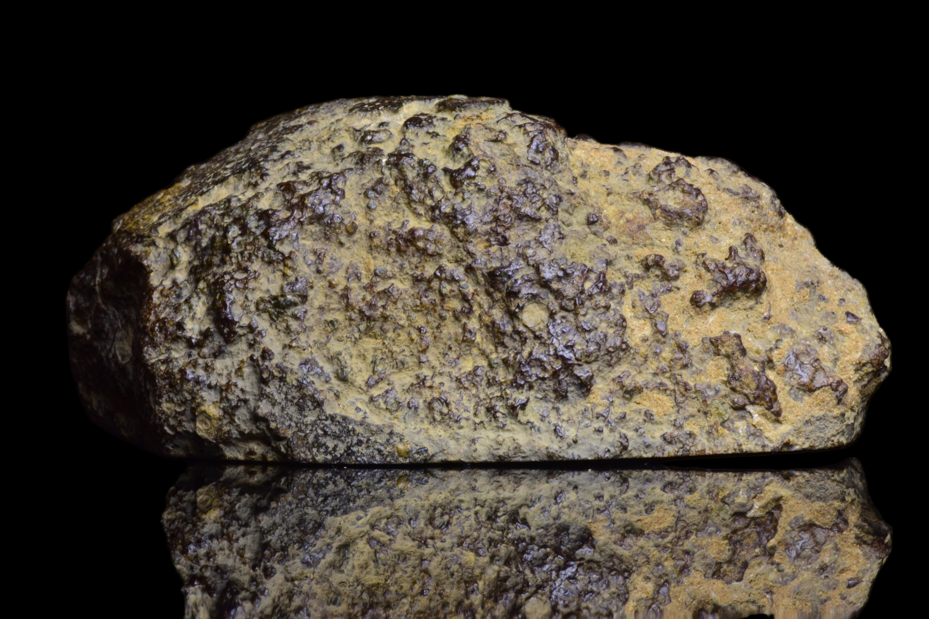 NWA 17493 L3 Main Mass Ordinary Chondrite Meteorite