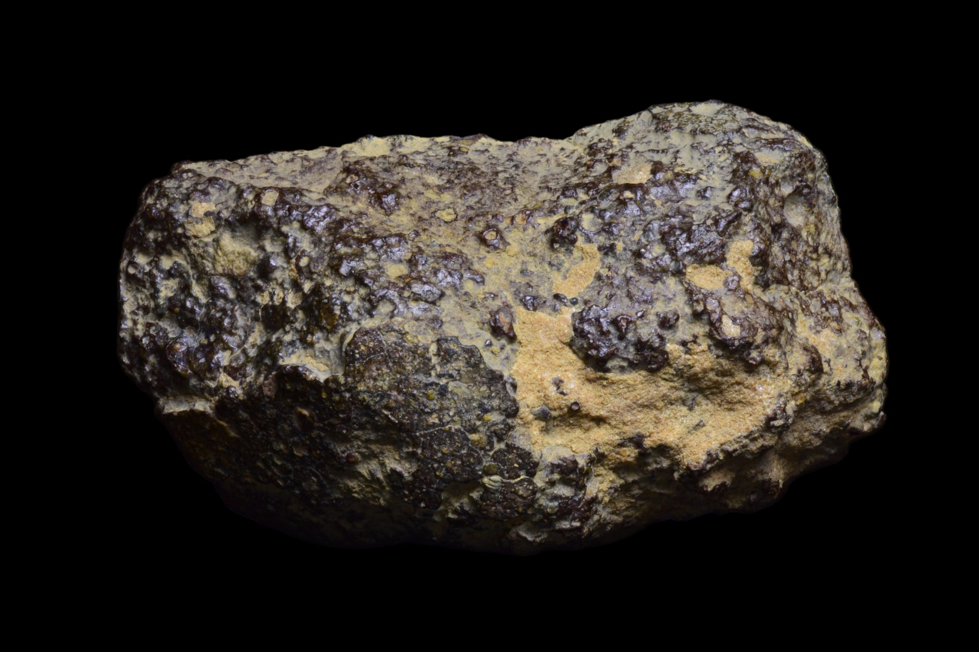 NWA 17493 L3 Main Mass Ordinary Chondrite Meteorite