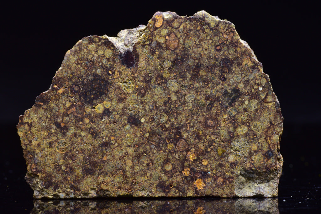 NWA 17493 L3 Ordinary Chondrite Meteorite