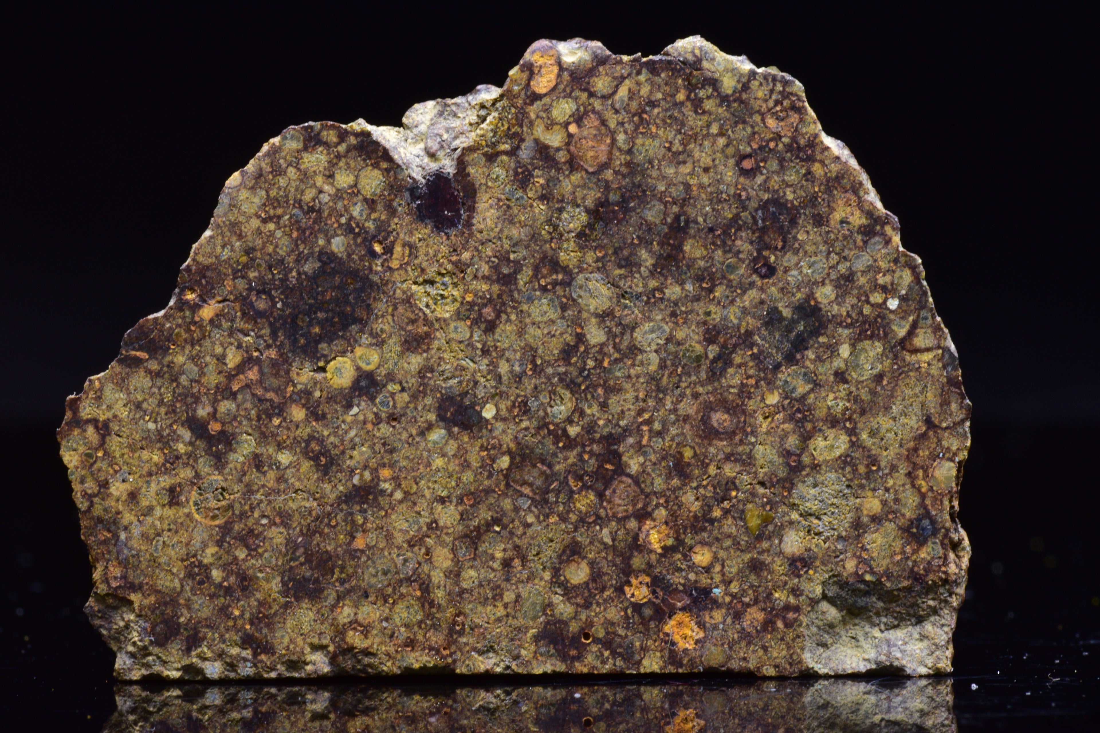 NWA 17493 L3 Ordinary Chondrite Meteorite