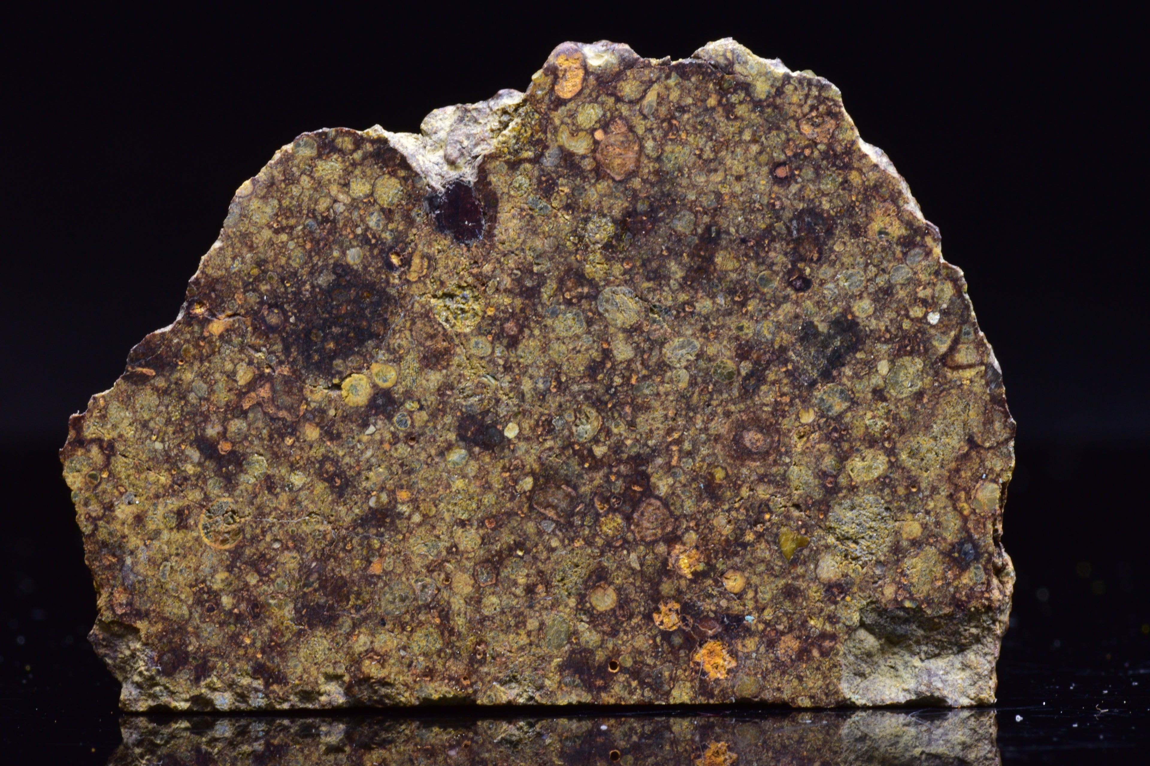 NWA 17493 L3 Ordinary Chondrite Meteorite