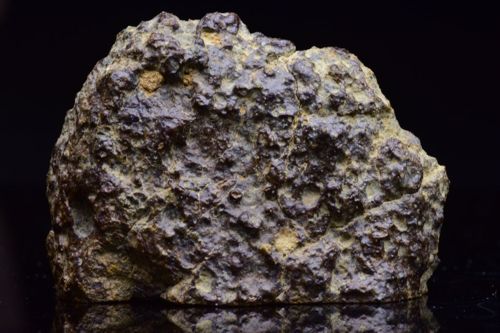 NWA 17493 L3 Ordinary Chondrite Meteorite