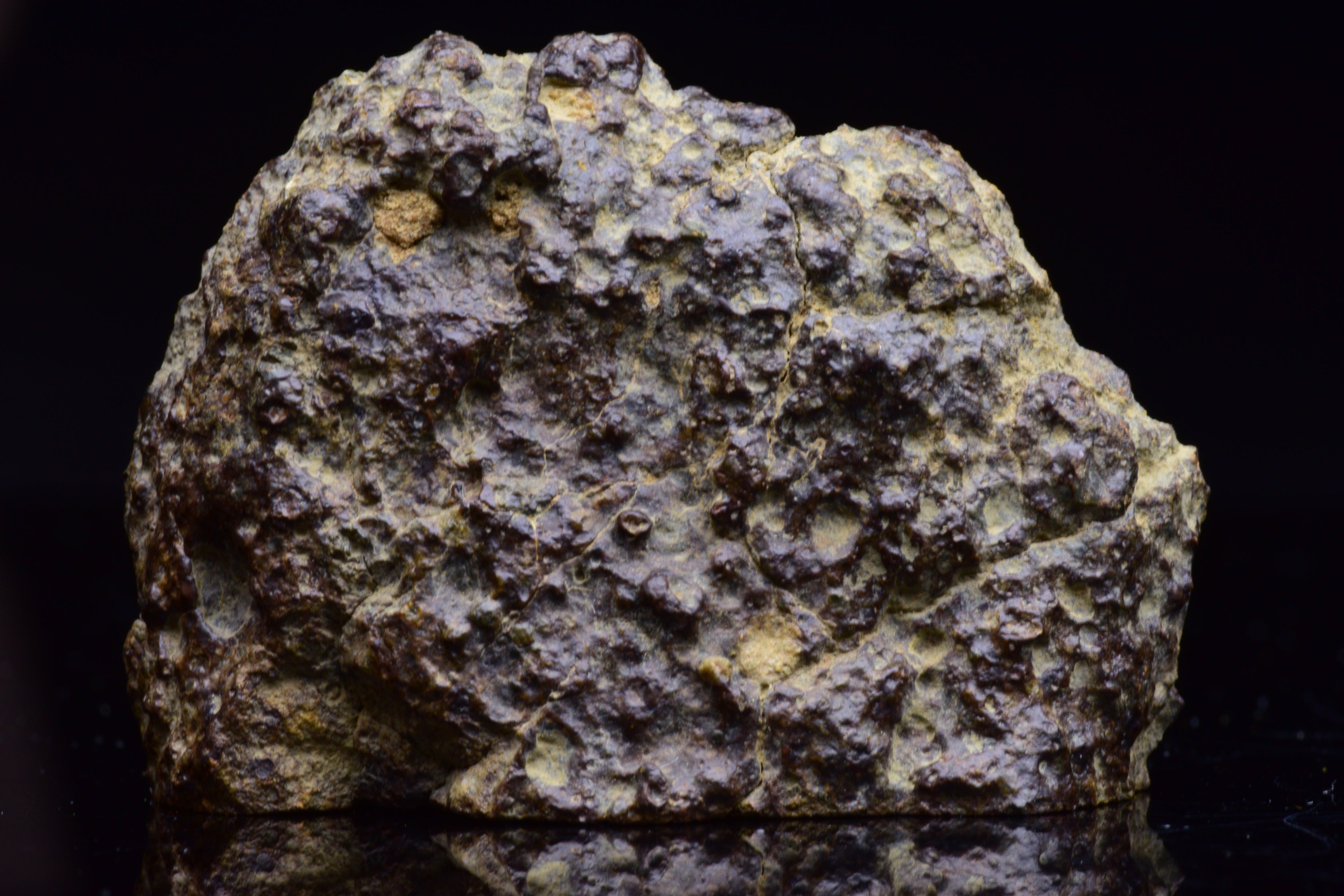 NWA 17493 L3 Ordinary Chondrite Meteorite