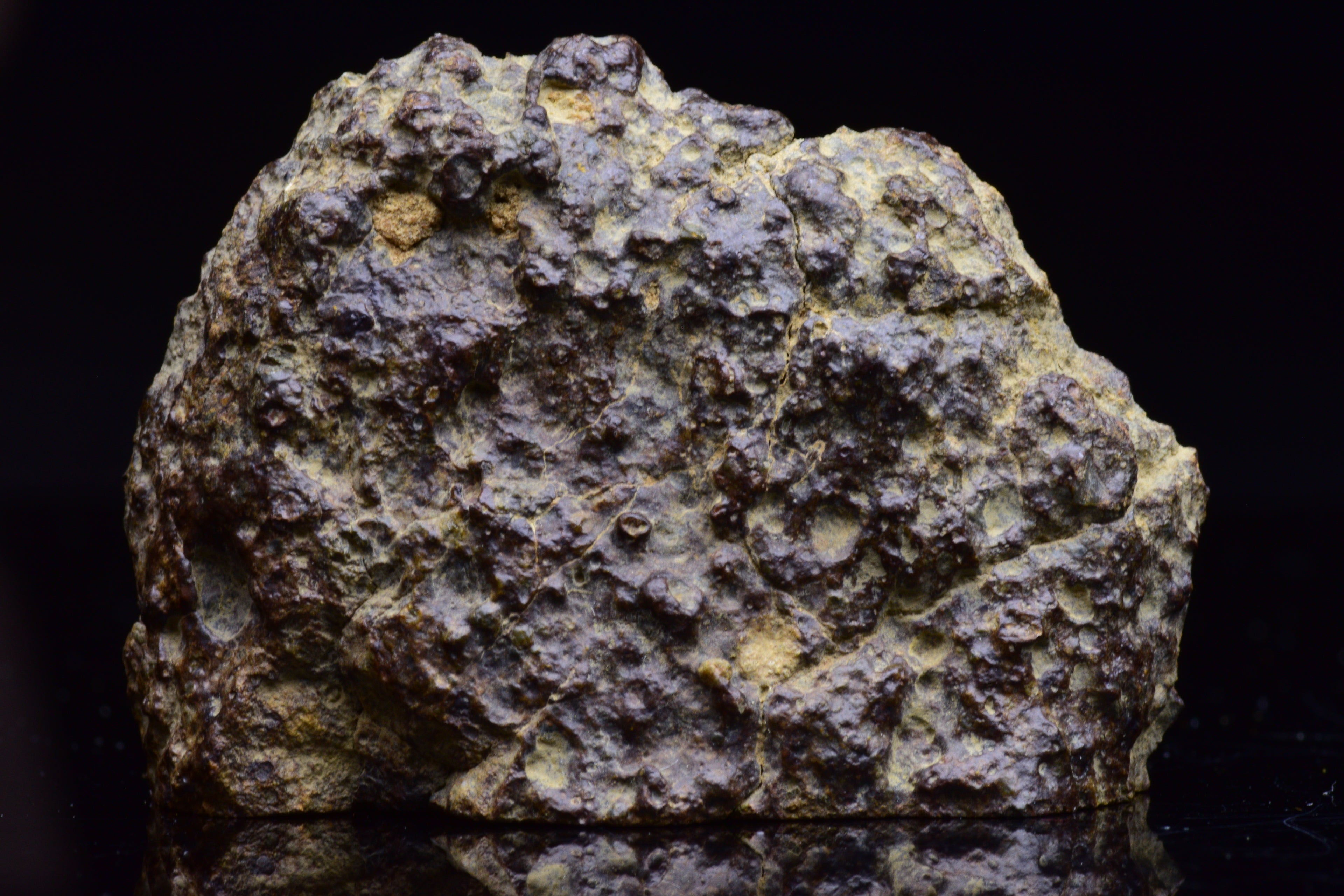 NWA 17493 L3 Ordinary Chondrite Meteorite