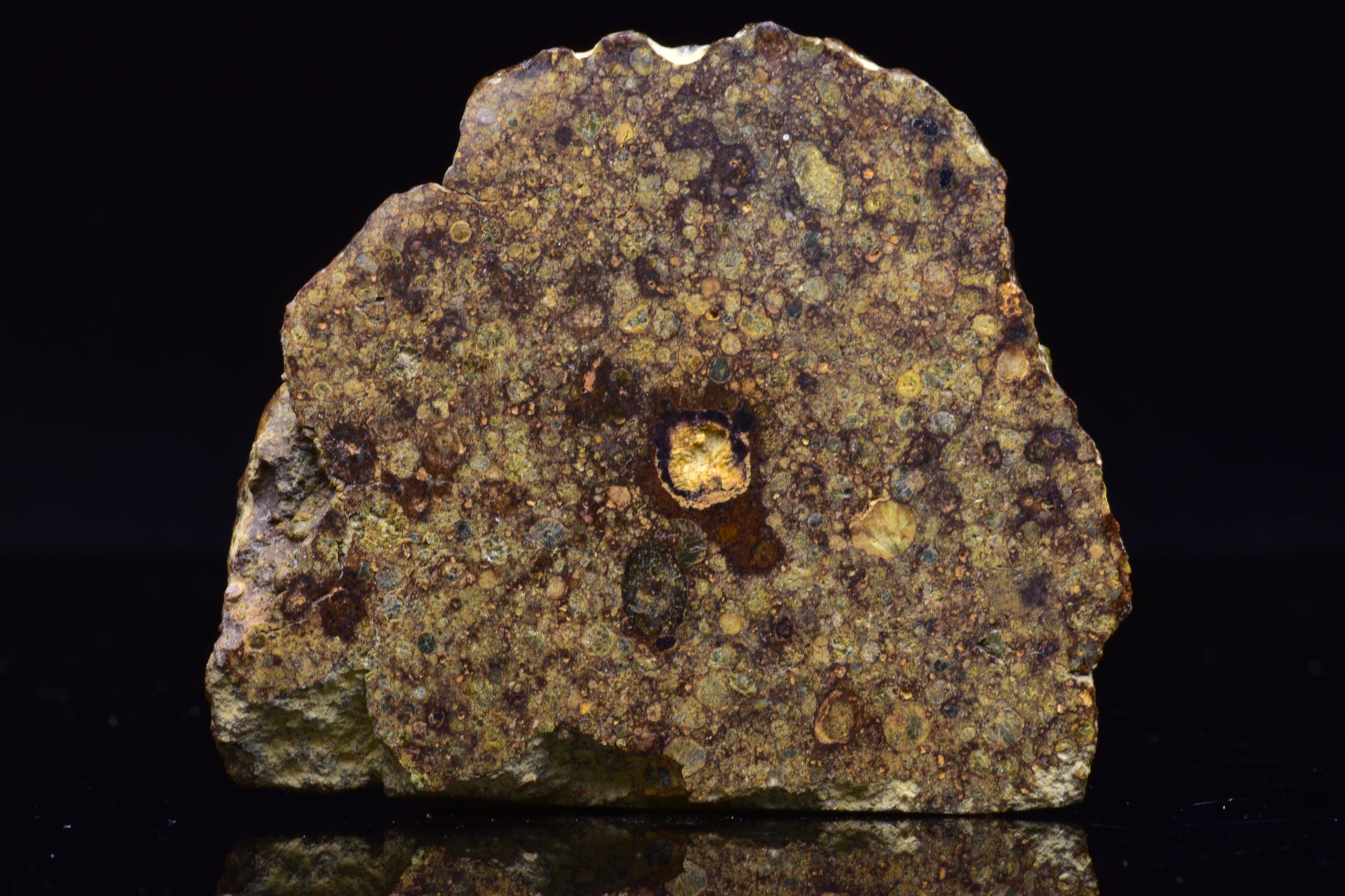 NWA 17493 L3 Ordinary Chondrite Meteorite