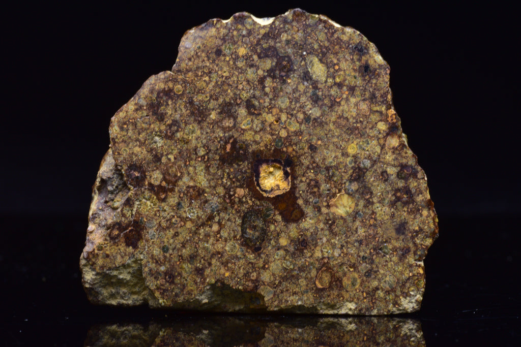 NWA 17493 L3 Ordinary Chondrite Meteorite