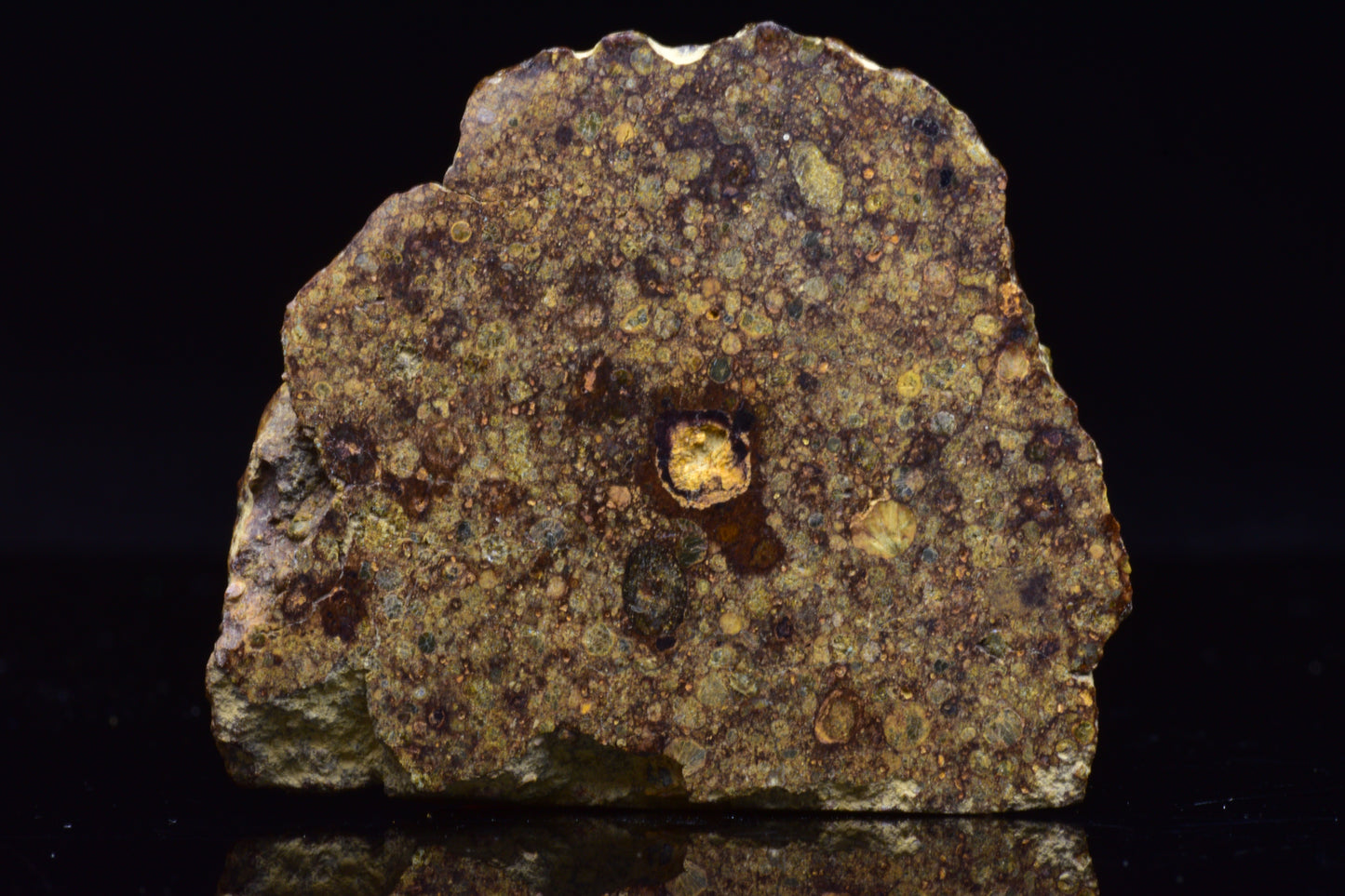 NWA 17493 L3 Ordinary Chondrite Meteorite