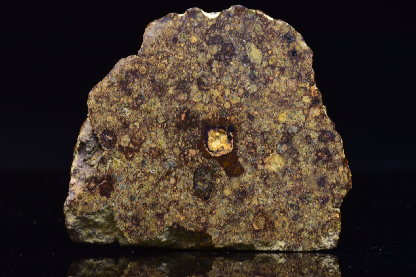 NWA 17493 L3 Ordinary Chondrite Meteorite