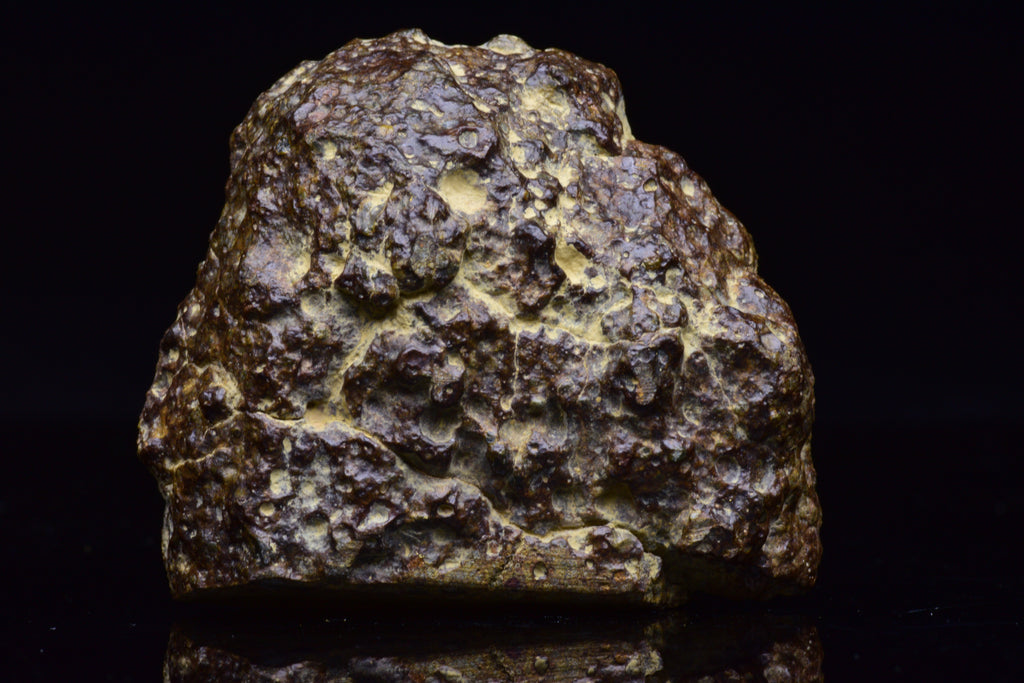 NWA 17493 L3 Ordinary Chondrite Meteorite