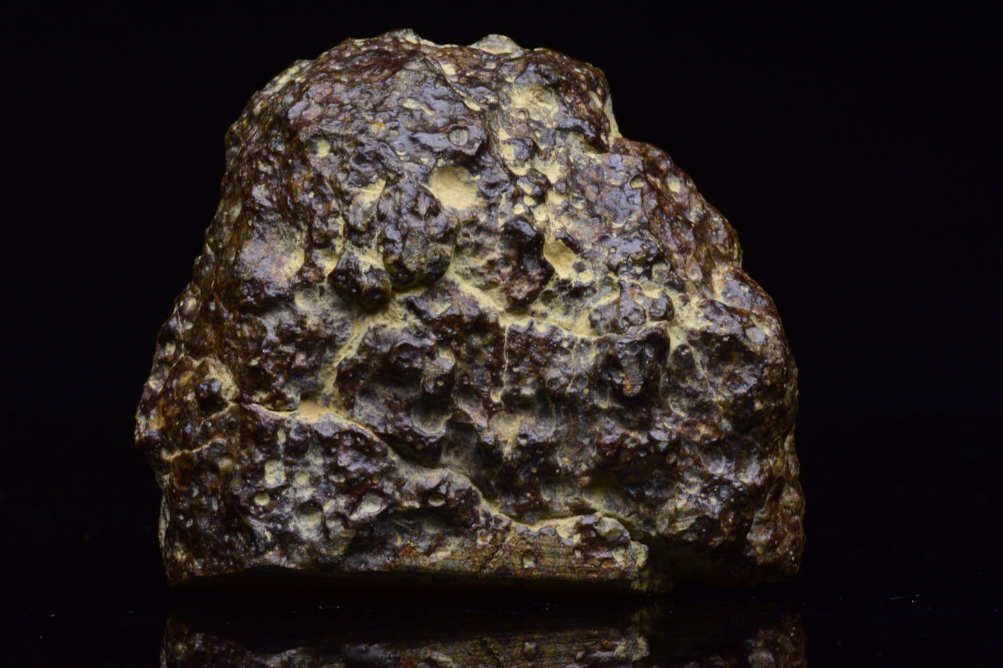NWA 17493 L3 Ordinary Chondrite Meteorite