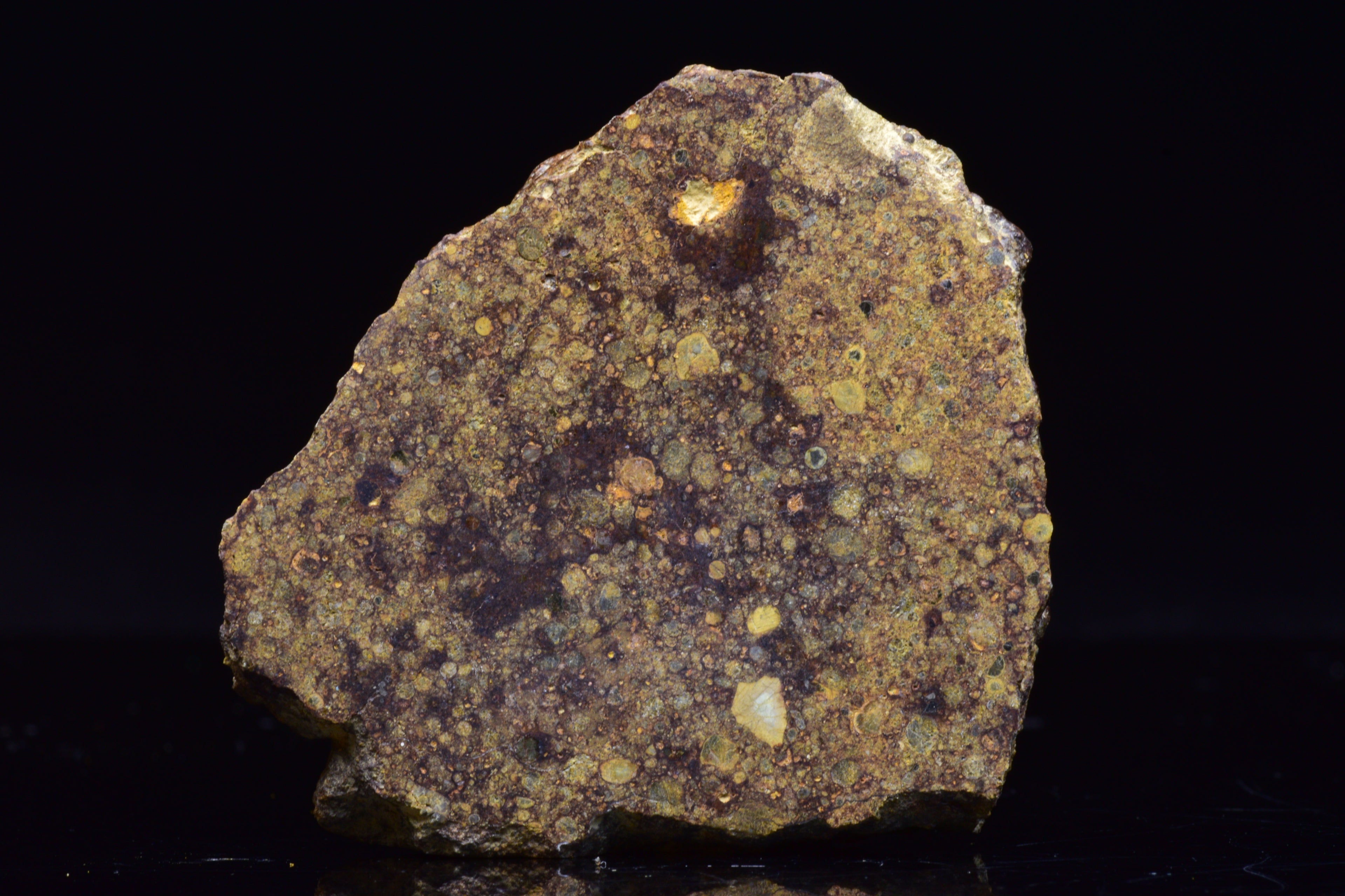 NWA 17493 L3 Ordinary Chondrite Meteorite