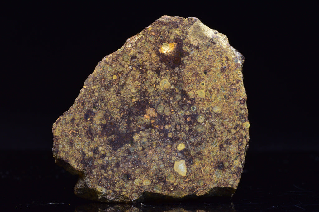NWA 17493 L3 Ordinary Chondrite Meteorite
