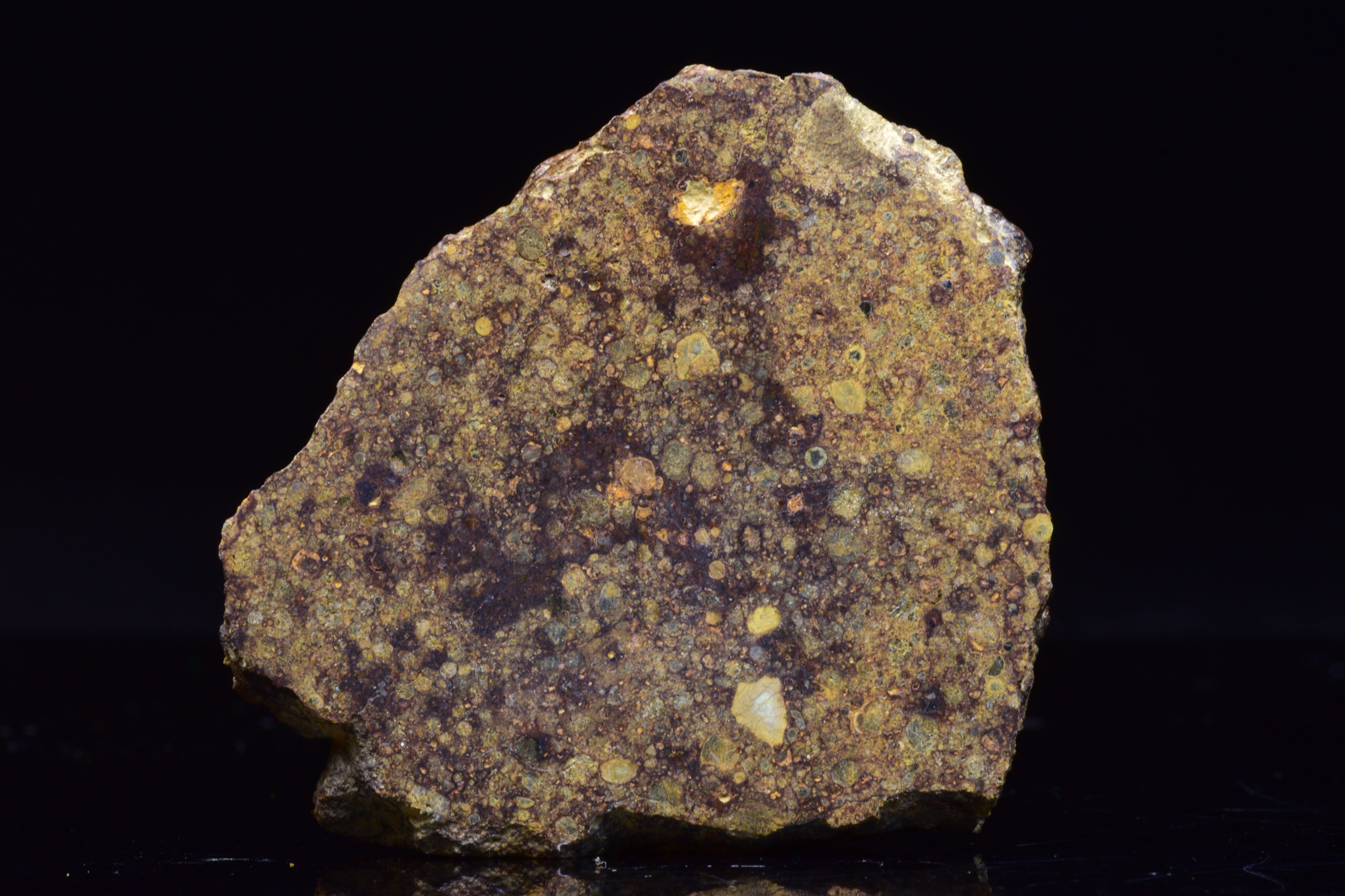 NWA 17493 L3 Ordinary Chondrite Meteorite