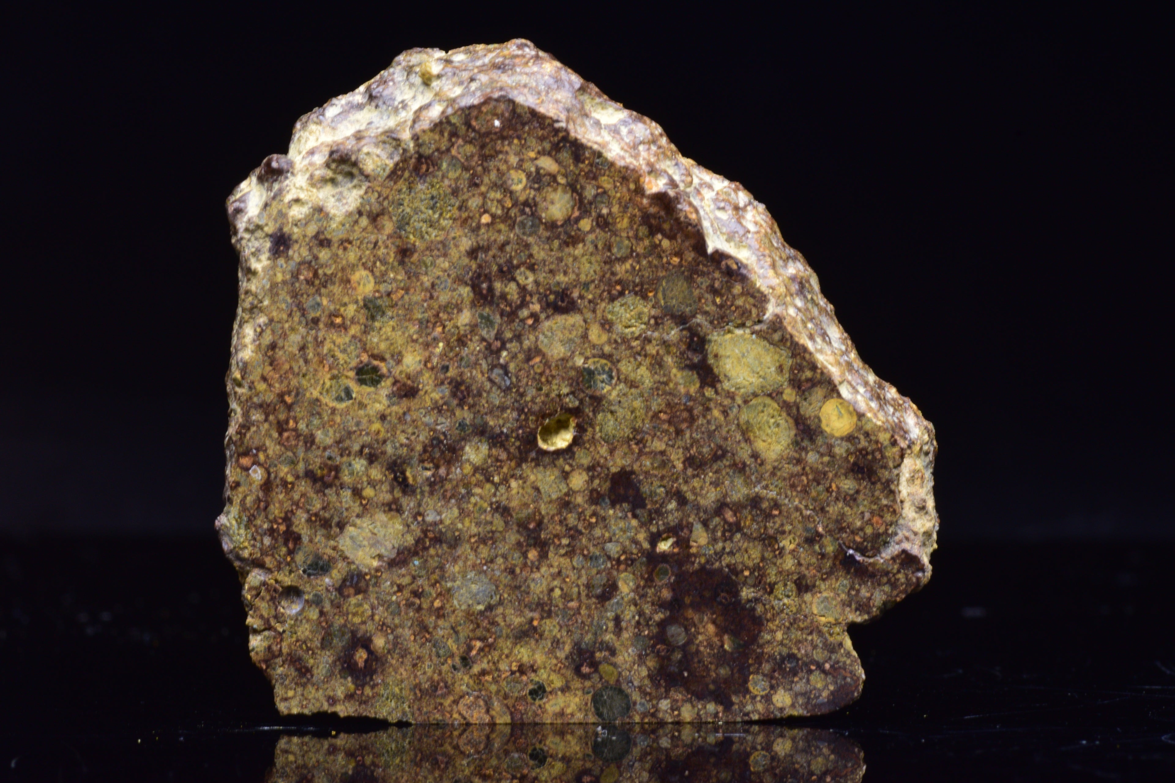 NWA 17493 L3 Ordinary Chondrite Meteorite