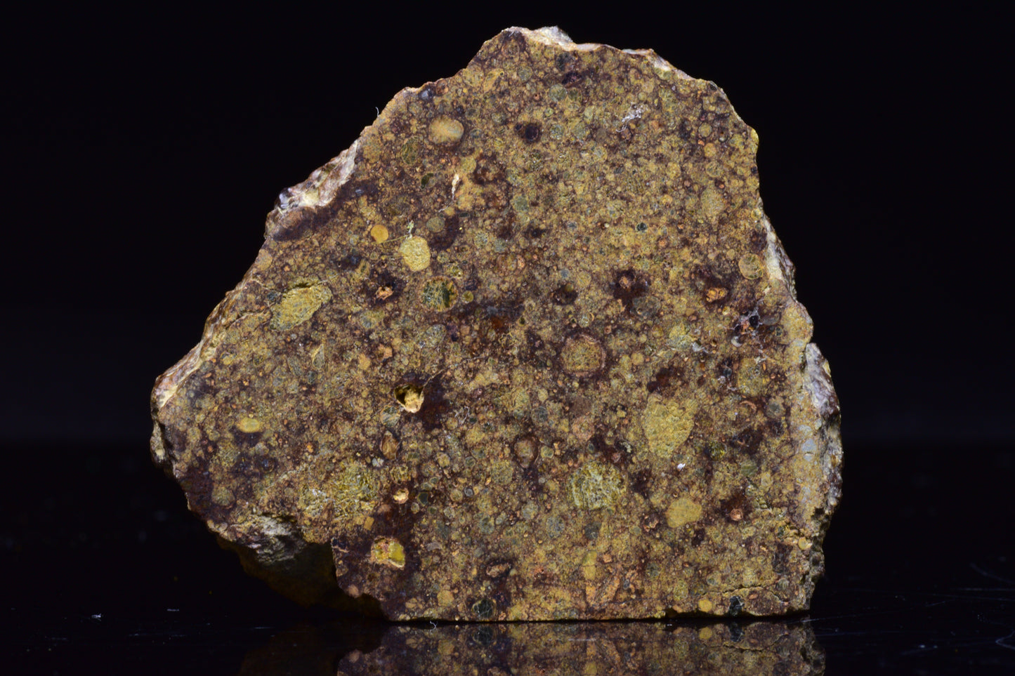NWA 17493 L3 Ordinary Chondrite Meteorite