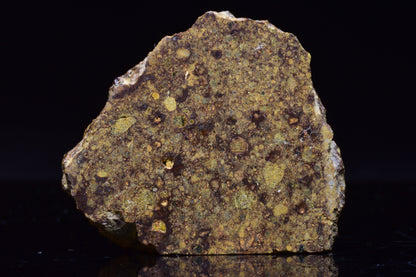 NWA 17493 L3 Ordinary Chondrite Meteorite