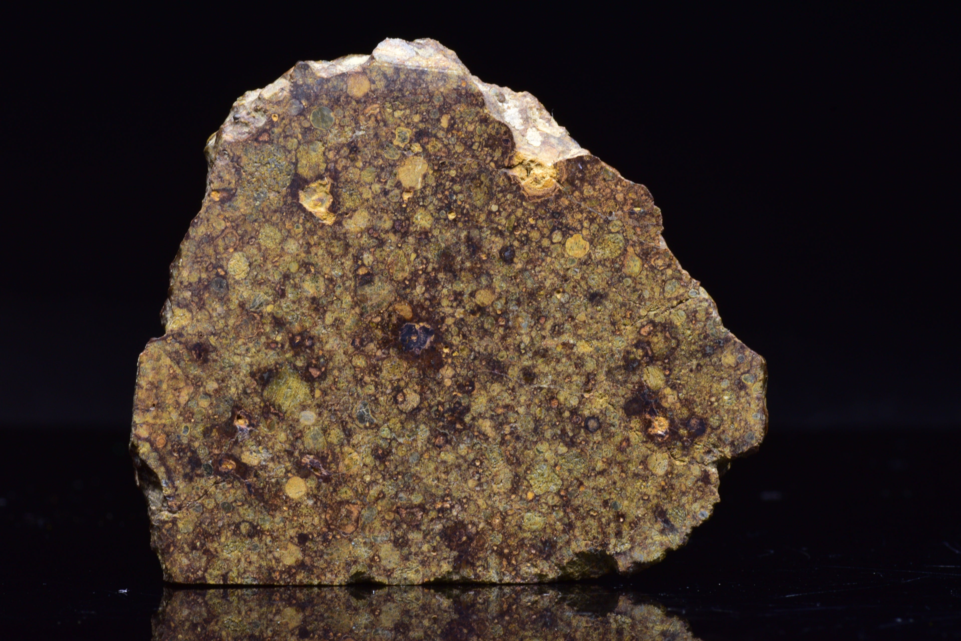 NWA 17493 L3 Ordinary Chondrite Meteorite