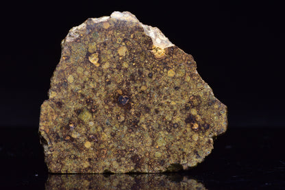 NWA 17493 L3 Ordinary Chondrite Meteorite