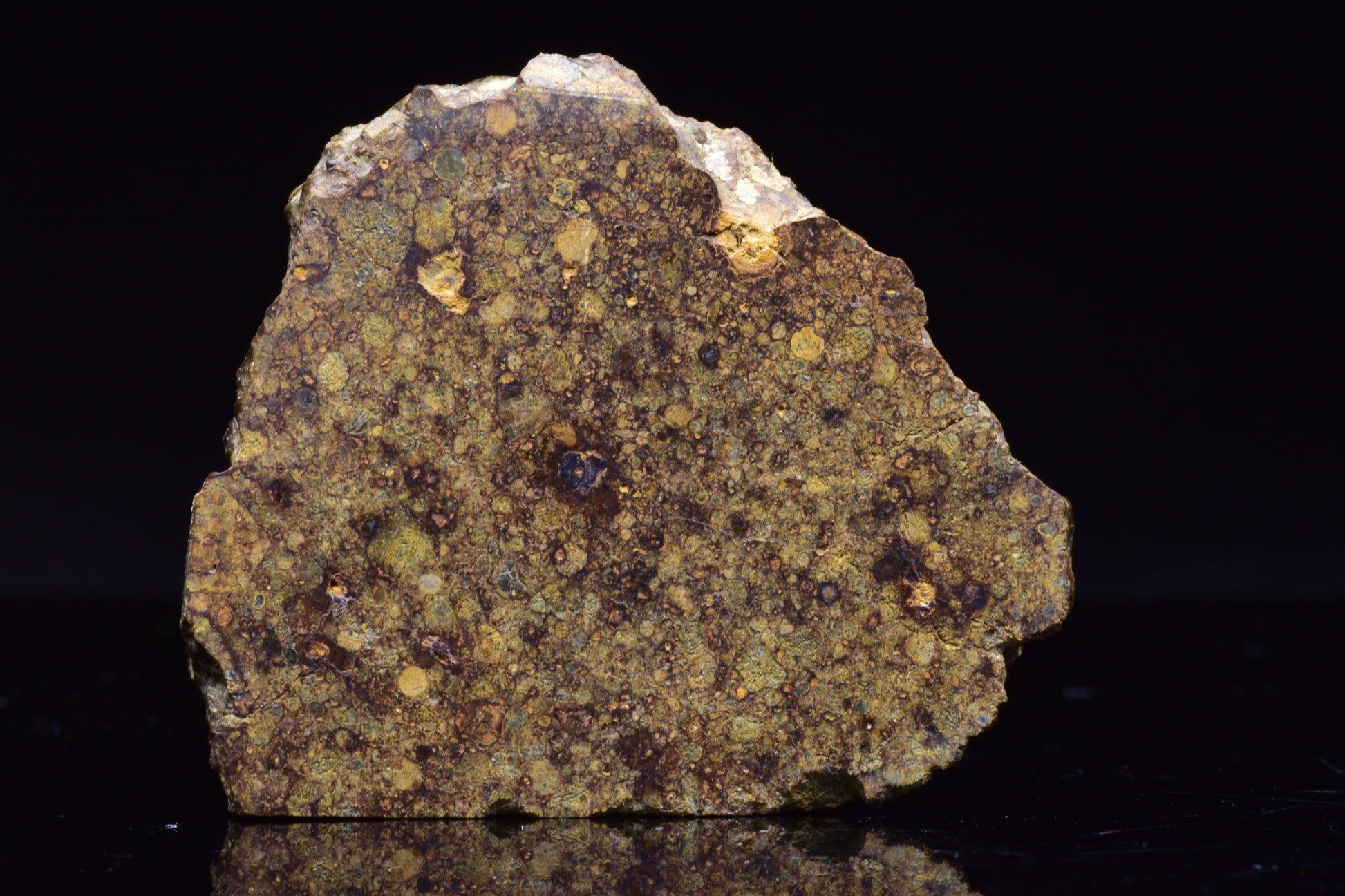 NWA 17493 L3 Ordinary Chondrite Meteorite