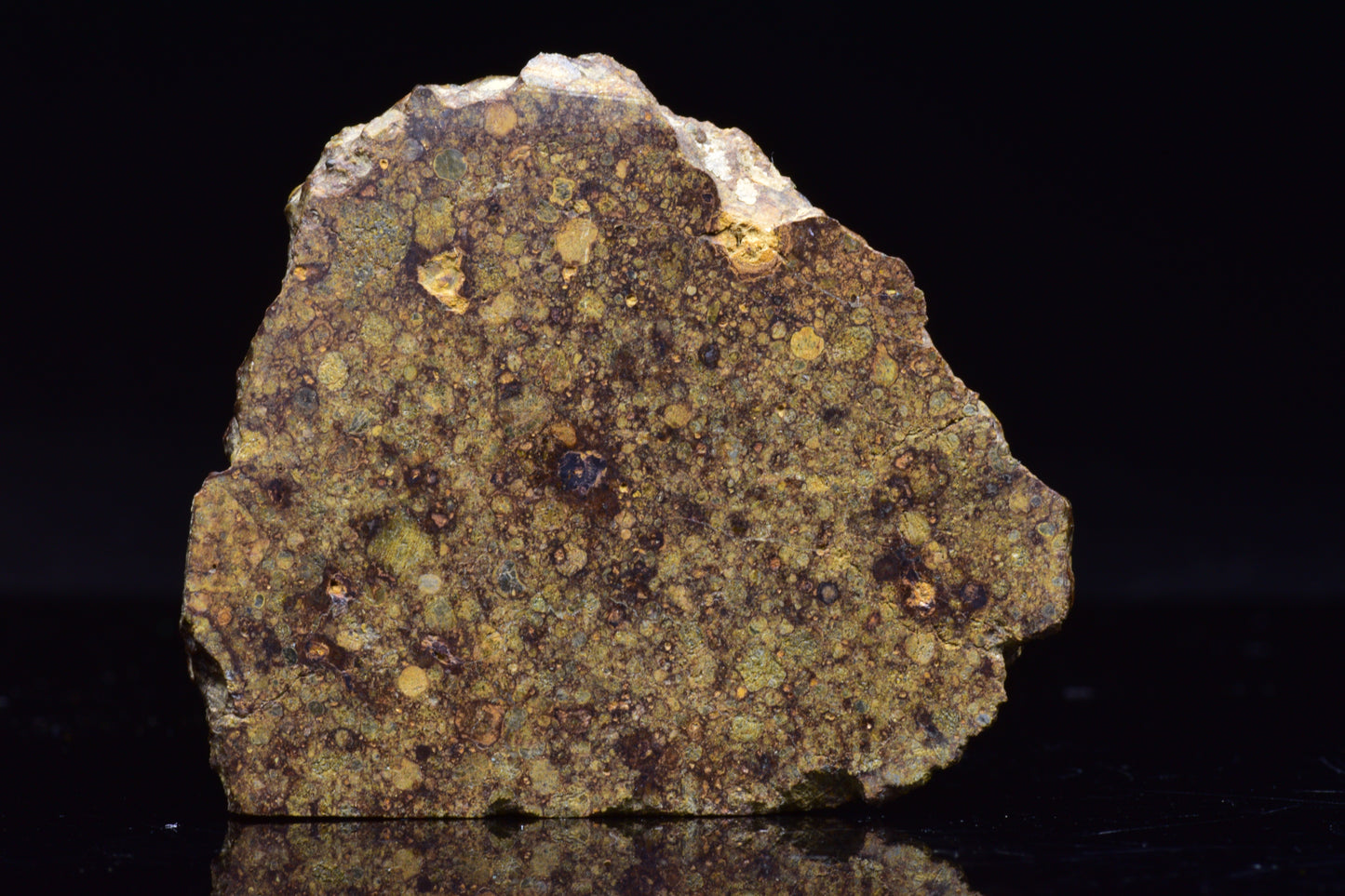 NWA 17493 L3 Ordinary Chondrite Meteorite