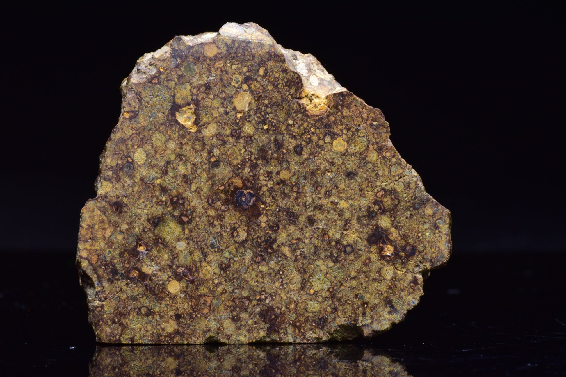 NWA 17493 L3 Ordinary Chondrite Meteorite