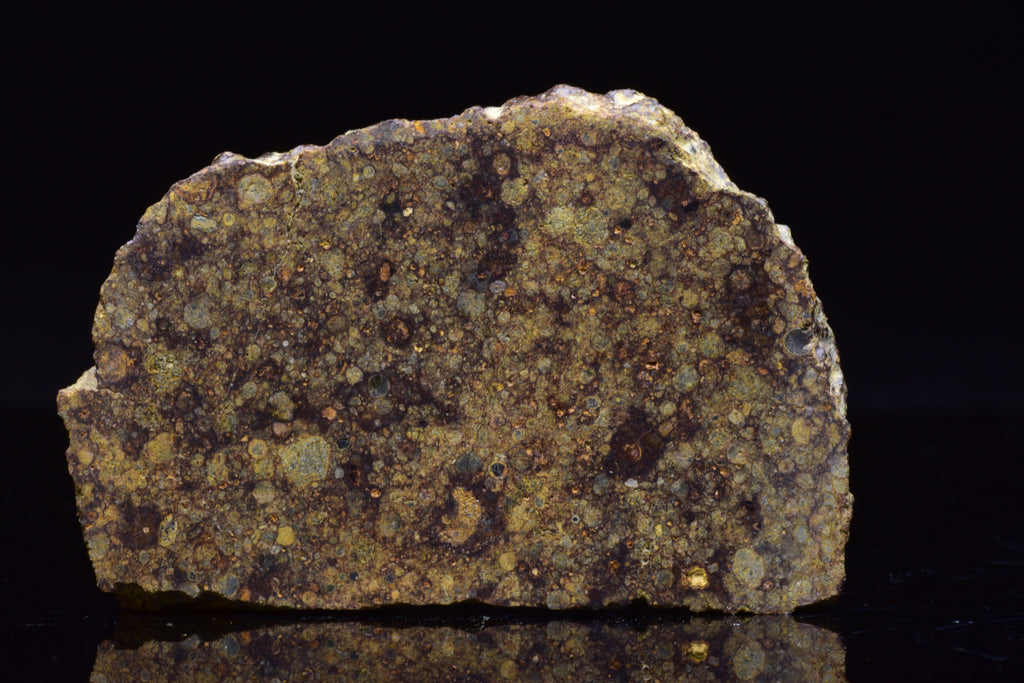 NWA 17493 L3 Ordinary Chondrite Meteorite