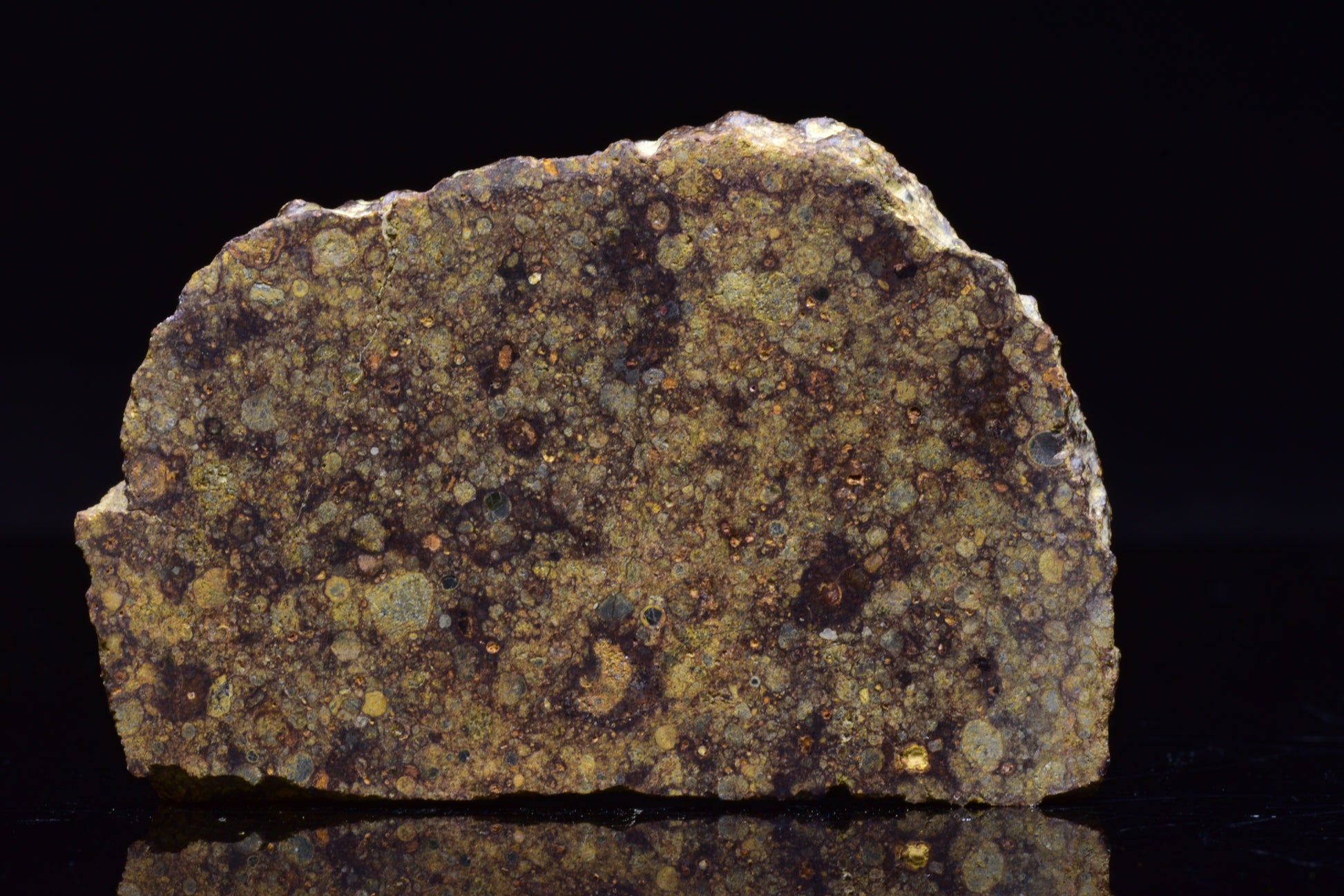 NWA 17493 L3 Ordinary Chondrite Meteorite