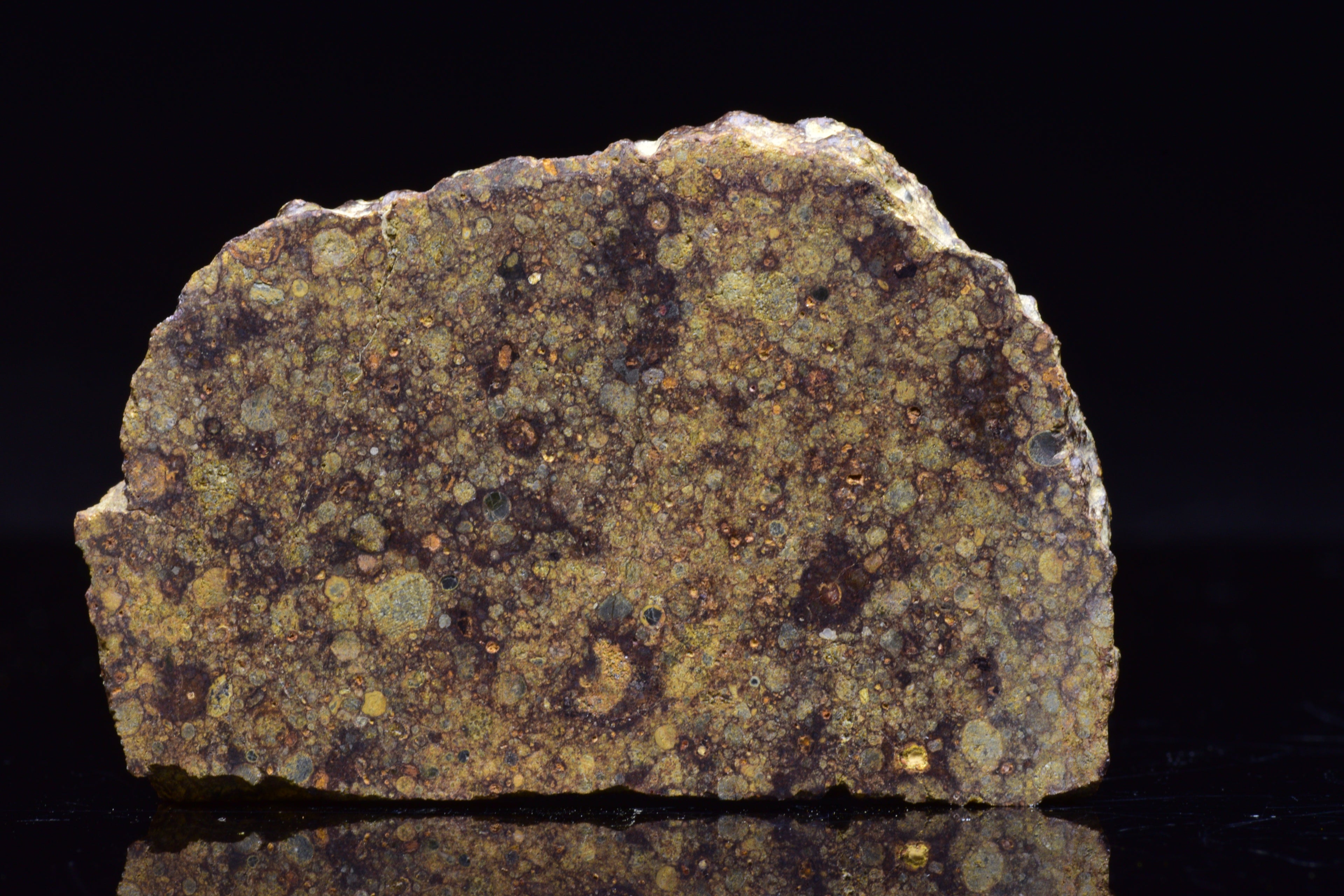 NWA 17493 L3 Ordinary Chondrite Meteorite