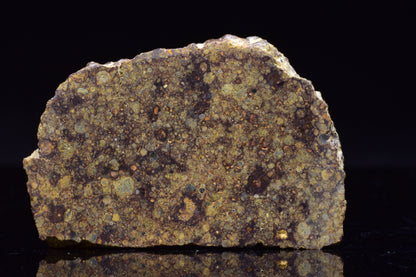NWA 17493 L3 Ordinary Chondrite Meteorite