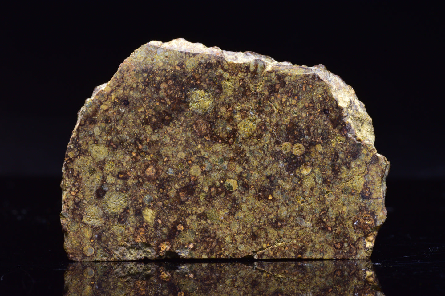 NWA 17493 L3 Ordinary Chondrite Meteorite